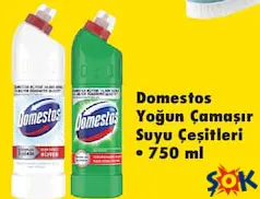 DOMESTOS YOĞUN ÇAMAŞIR SUYU ÇEŞİTLERİ 750 ML